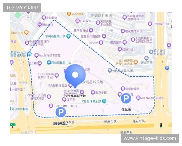 星城官方首页用户指南与常见问题解答，帮助市民快速找到所需信息