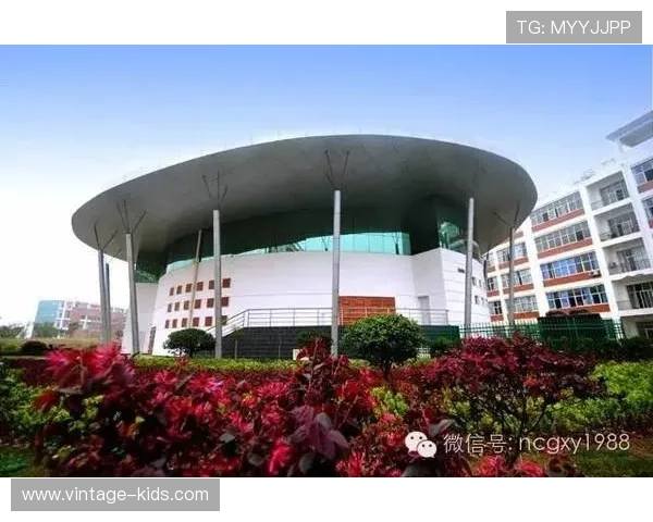 南宫体育馆的历史背景与发展历程，了解场馆背后的文化与建设故事